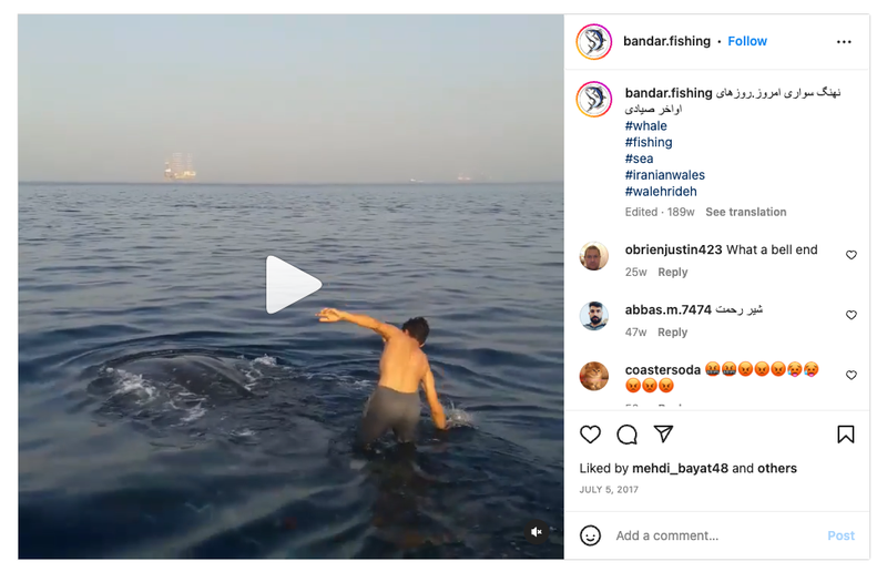 Whale-Shark-Bandar-Fishing-Instagram-Post